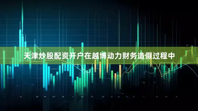 天津炒股配资开户在越博动力财务造假过程中